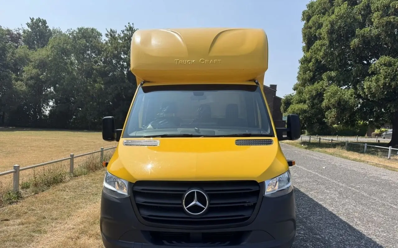 2020 Mercedes-Benz Sprinter, photo 7